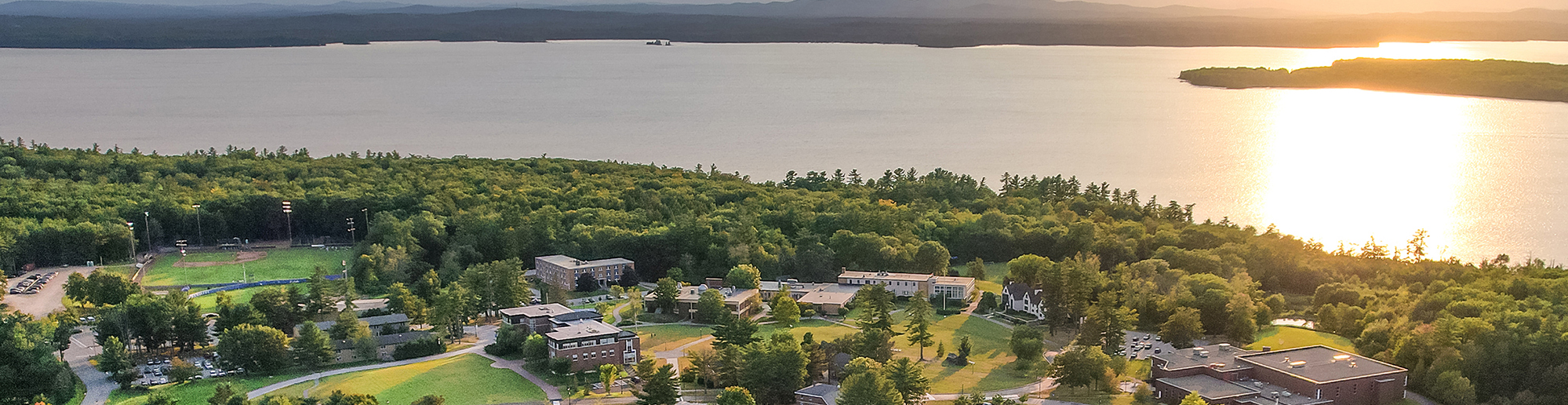 Summer drone