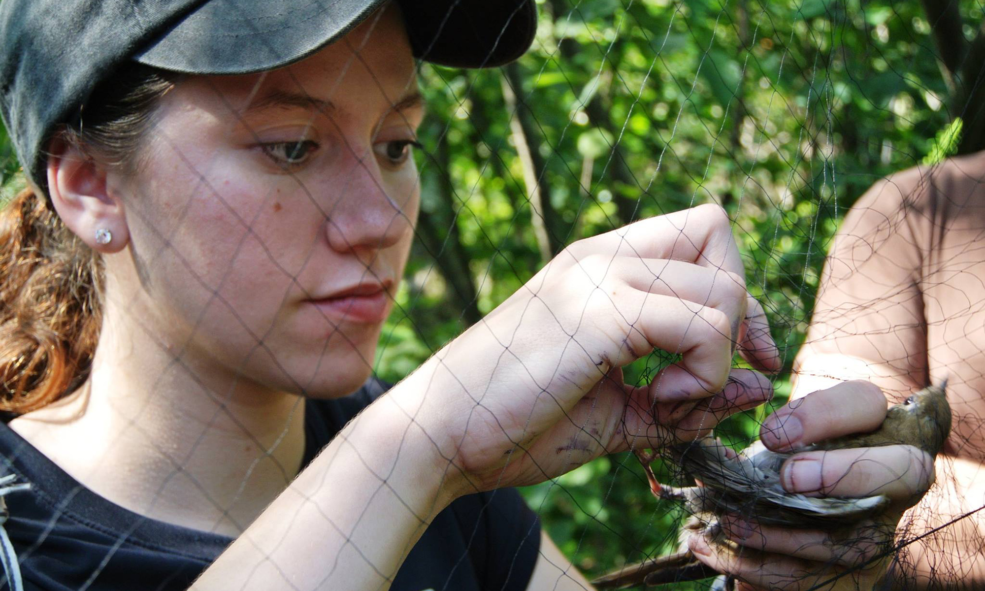 Student working with a bird.