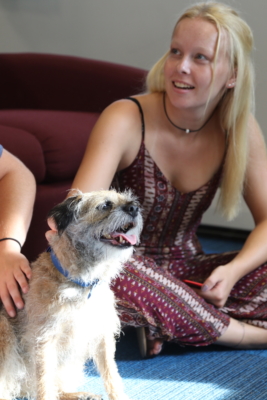 A person sitting on the floor, smiling, while petting a dog with a blue collar during Yappy Hour. The dog appears happy with its tongue out. Saint Joseph's College of Maine